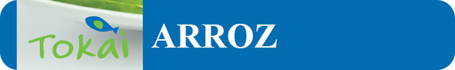 ARROZ